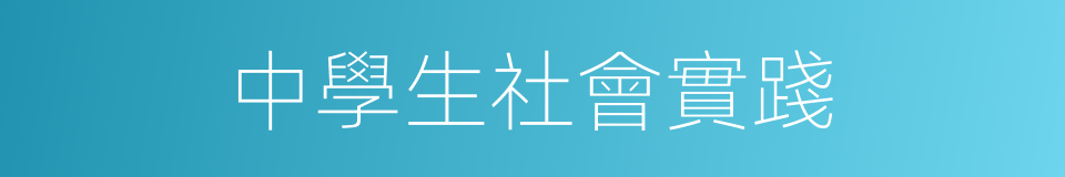 中學生社會實踐的同義詞