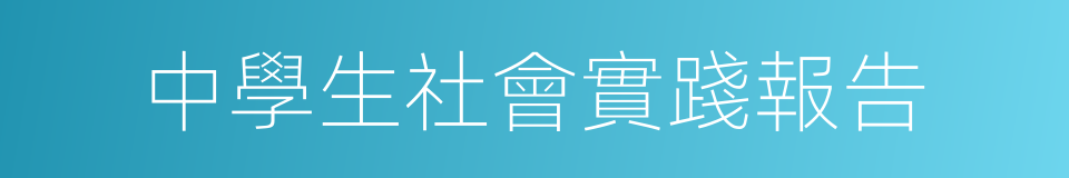 中學生社會實踐報告的同義詞