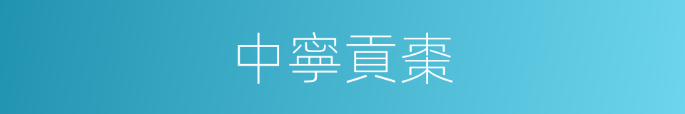 中寧貢棗的同義詞