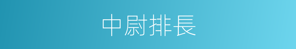 中尉排長的同義詞