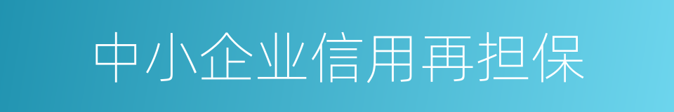 中小企业信用再担保的同义词