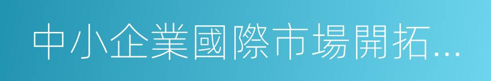 中小企業國際市場開拓資金的同義詞