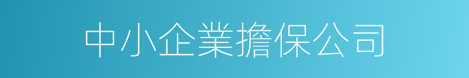中小企業擔保公司的同義詞