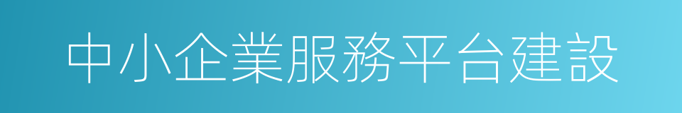 中小企業服務平台建設的同義詞