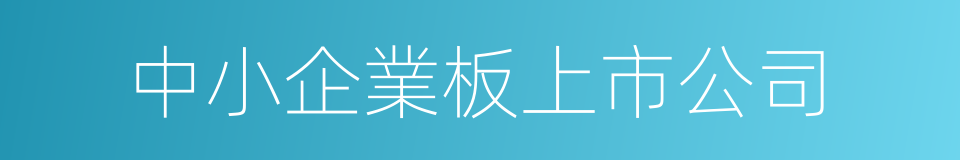 中小企業板上市公司的同義詞