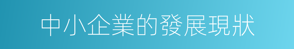 中小企業的發展現狀的同義詞