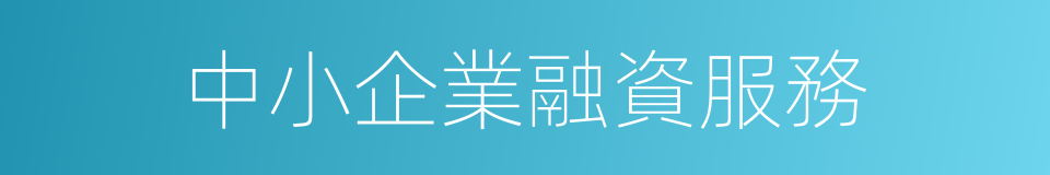 中小企業融資服務的同義詞