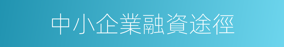 中小企業融資途徑的同義詞