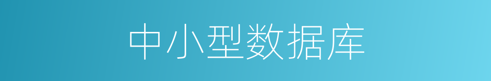 中小型数据库的同义词