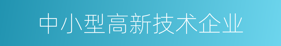 中小型高新技术企业的同义词