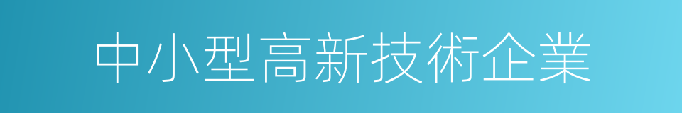 中小型高新技術企業的同義詞