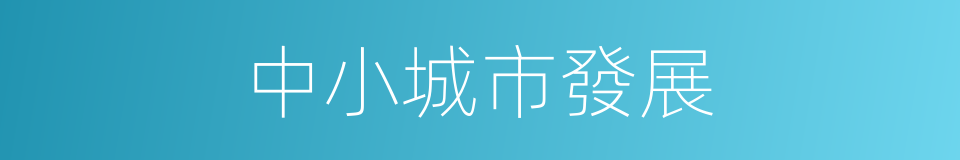 中小城市發展的同義詞