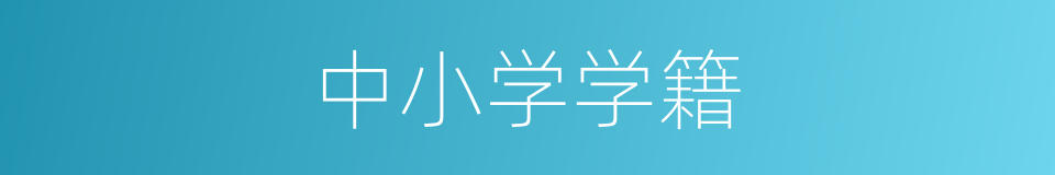 中小学学籍的同义词