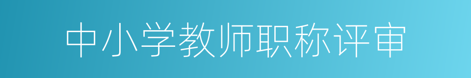 中小学教师职称评审的同义词