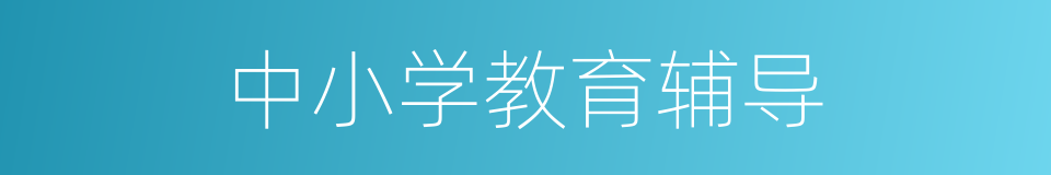 中小学教育辅导的同义词