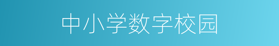 中小学数字校园的同义词