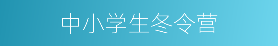 中小学生冬令营的同义词