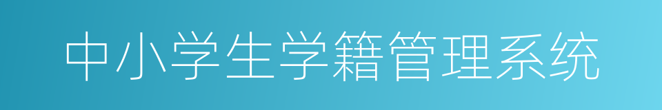 中小学生学籍管理系统的同义词