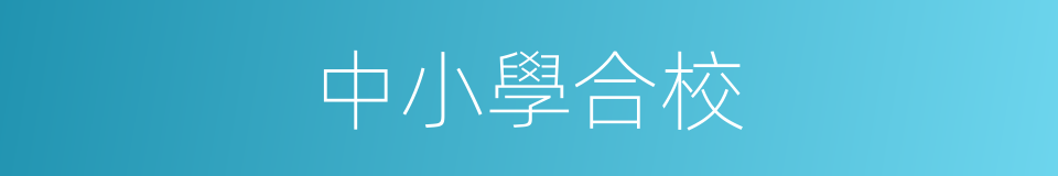 中小學合校的同義詞