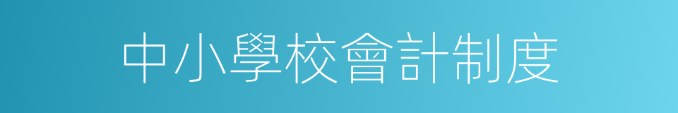 中小學校會計制度的同義詞