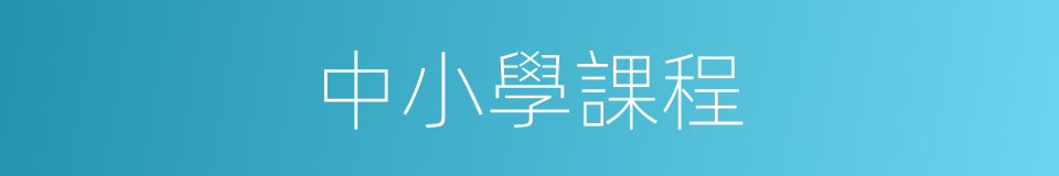 中小學課程的同義詞