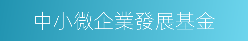 中小微企業發展基金的同義詞