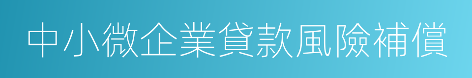 中小微企業貸款風險補償的同義詞