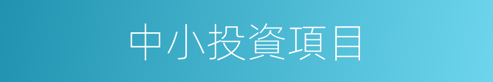 中小投資項目的同義詞