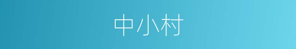 中小村的同义词
