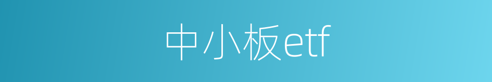 中小板etf的同义词