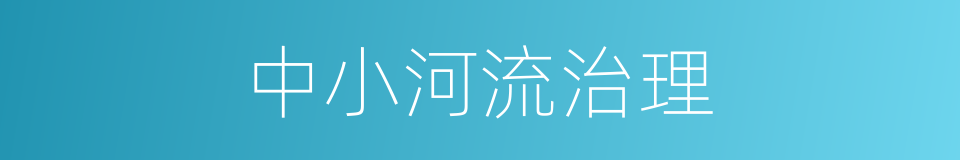 中小河流治理的同义词
