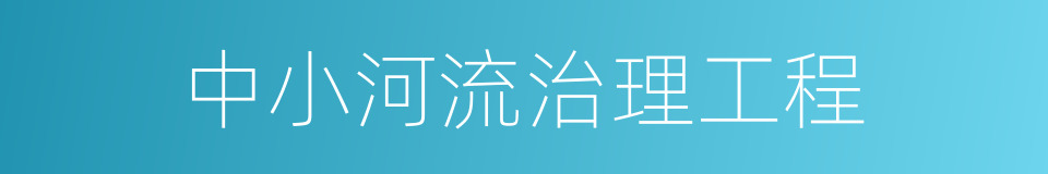 中小河流治理工程的同义词