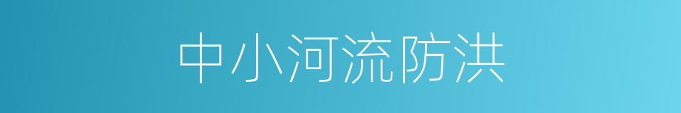 中小河流防洪的同义词