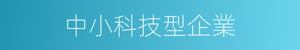 中小科技型企業的同義詞