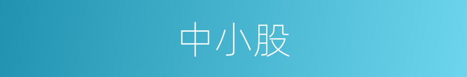 中小股的同义词