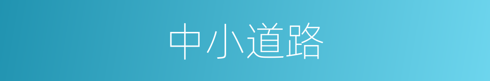 中小道路的同义词