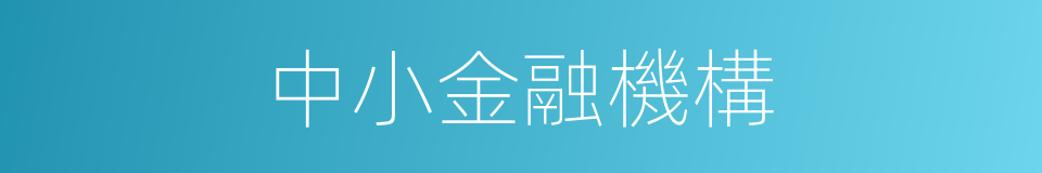 中小金融機構的同義詞