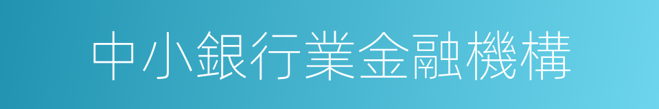 中小銀行業金融機構的同義詞