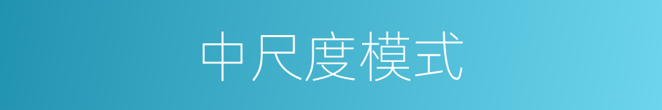 中尺度模式的同义词