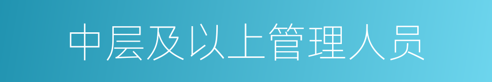 中层及以上管理人员的同义词