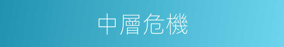中層危機的同義詞