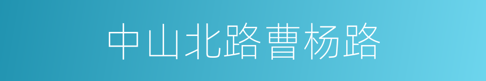 中山北路曹杨路的同义词