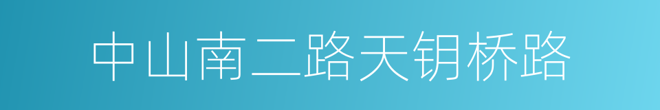 中山南二路天钥桥路的同义词