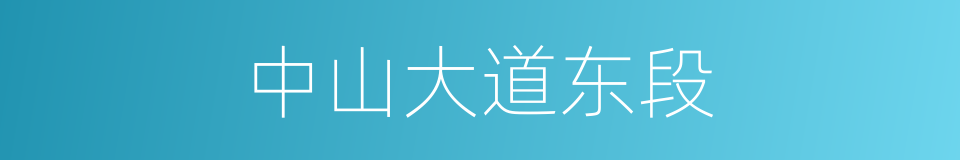 中山大道东段的同义词