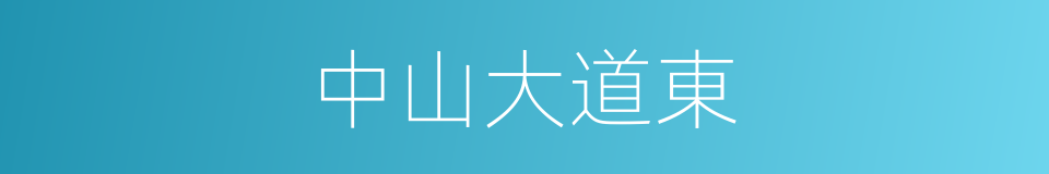 中山大道東的同義詞