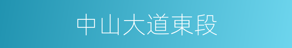 中山大道東段的同義詞