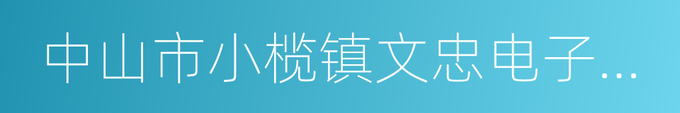 中山市小榄镇文忠电子设备有限公司的同义词