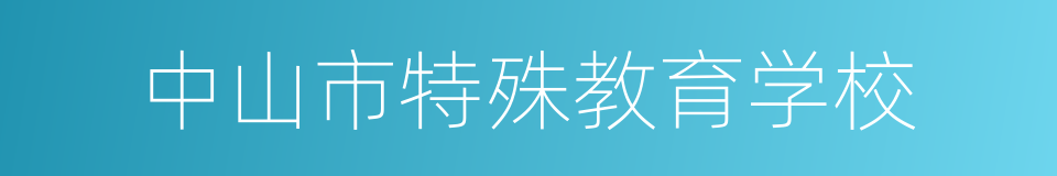 中山市特殊教育学校的同义词