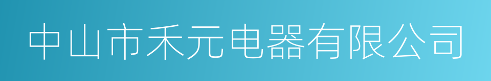 中山市禾元电器有限公司的同义词