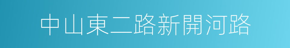 中山東二路新開河路的同義詞